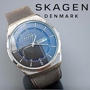 Skagen Men's Melbye Three-Hand Band Watch